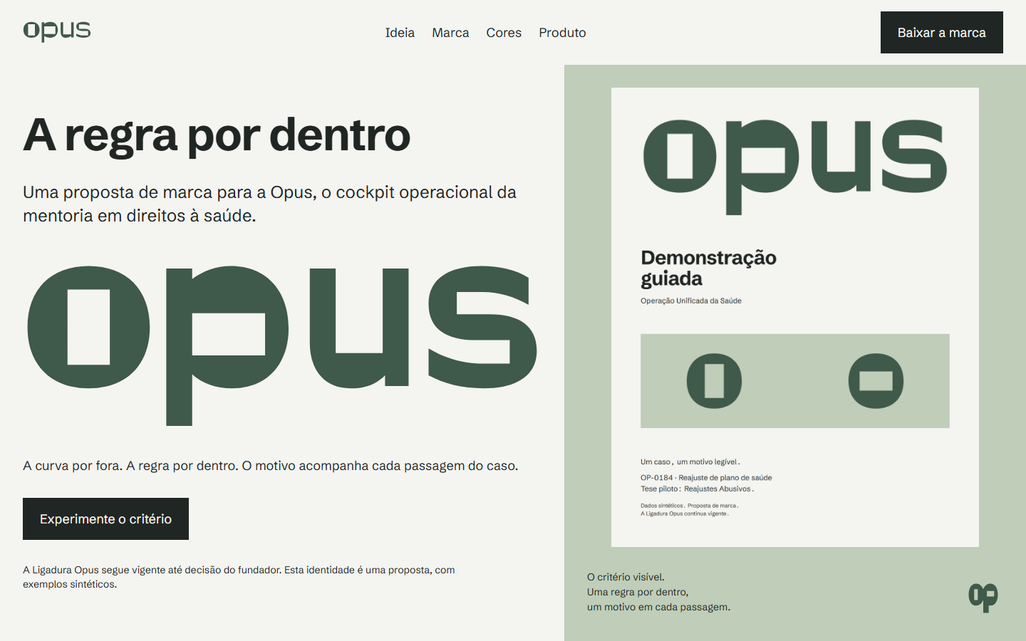 Prévia da abertura do brandbook O critério visível